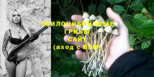 эйфоретик Бугульма