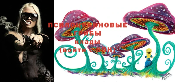 мдпв Верхний Тагил
