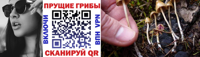 Псилоцибиновые грибы ЛСД  Гатчина 