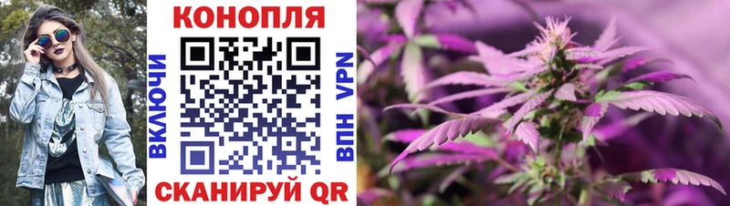 Конопля семена  shop состав  Гатчина 