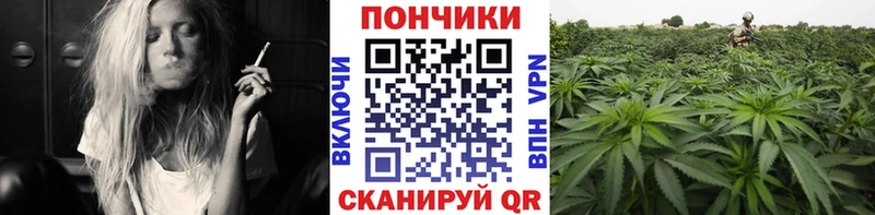 МАРИХУАНА OG Kush Гатчина